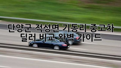 단양군 적성면 기동리 중고차 딜러 비교 완벽 가이드