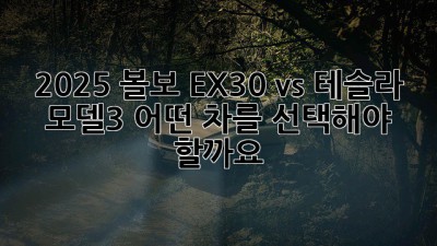 2025 볼보 EX30 vs 테슬라 모델3: 어떤 차를 선택해야 할까요?
