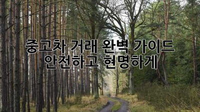 중고차 거래 완벽 가이드: 안전하고 현명하게!